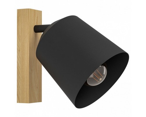 Спот Eglo ПРОМО Cotorro 900434