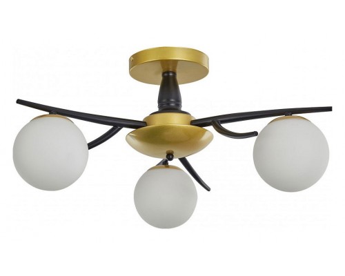 Потолочная люстра Arte Milano Neapolis-73408 273408/3 BK/GD