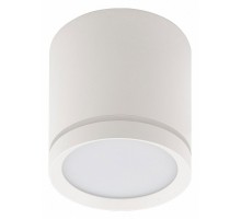Накладной светильник Denkirs DK401 DK4013-WH