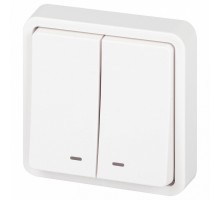 Выключатель двухклавишный с подсветкой Эра Эра Эксперт 11-1525-01