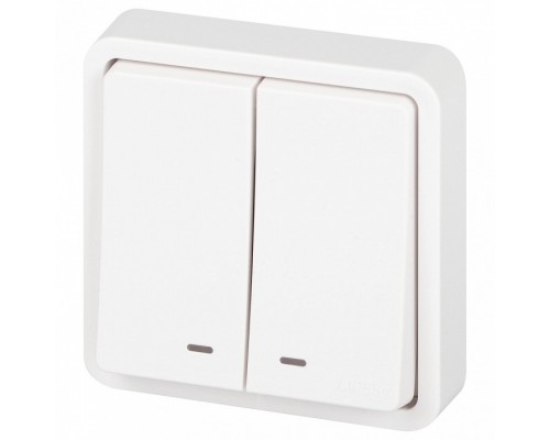Выключатель двухклавишный с подсветкой Эра Эра Эксперт 11-1525-01