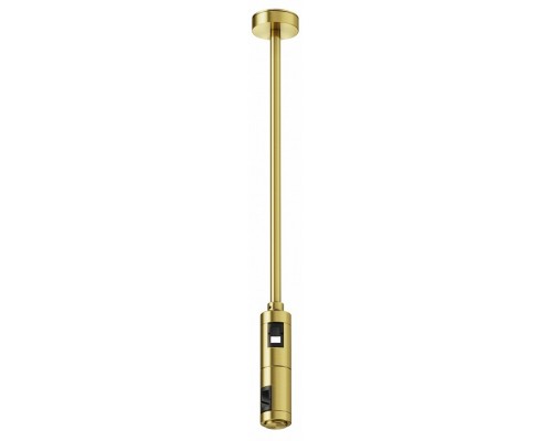 Основание на штанге Maytoni Accessories for tracks Flarity TRA158C-D1-BS Основание на штанге Maytoni Accessories for tracks Flarity TRA158C-D1-BS