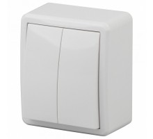 Выключатель двухклавишный Эра Эра Эксперт 11-1204-01