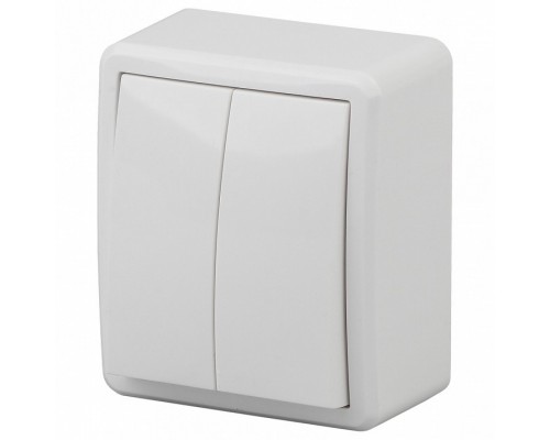 Выключатель двухклавишный Эра Эра Эксперт 11-1204-01