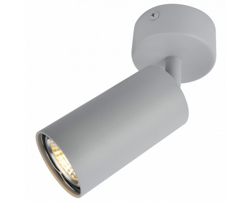 Спот Arte Lamp 3216 A3216PL-1GY Спот Arte Lamp 3216 A3216PL-1GY