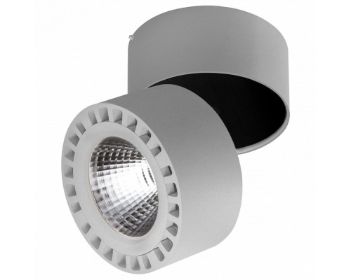Светильник на штанге Lightstar Forte 381394 Светильник на штанге Lightstar Forte 381394