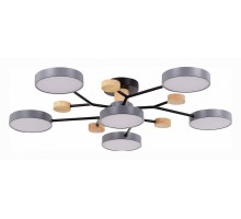 Потолочная люстра EVOLUCE Faema SLE6006-702-06