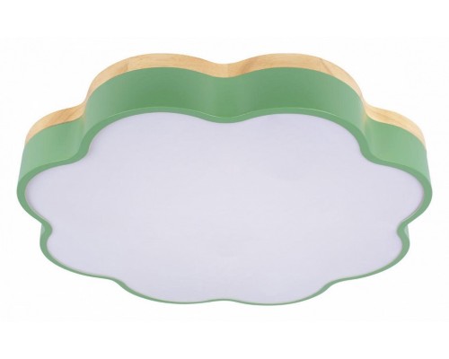Накладной светильник Loft it Axel 10225/36 Green Накладной светильник Loft it Axel 10225/36 Green