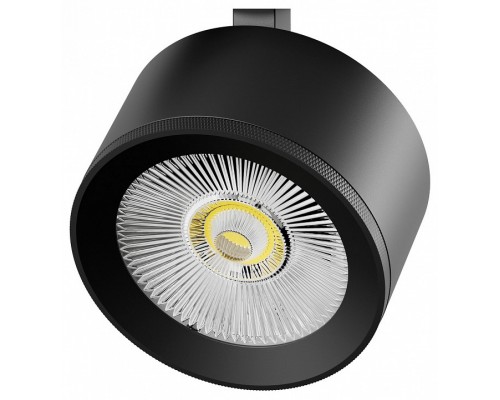 Плафон металлический Lightstar Alta Pro 215547