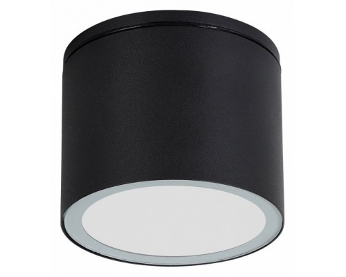 Накладной светильник Arte Lamp Piautos A1913PF-1BK Накладной светильник Arte Lamp Piautos A1913PF-1BK