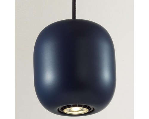 Подвесной светильник Odeon Light Cocoon 5060/1CA Подвесной светильник Odeon Light Cocoon 5060/1CA