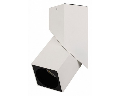 Светильник на штанге Arlight TWIST 026467(1) Светильник на штанге Arlight TWIST 026467(1)