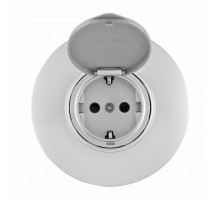 Розетка с заземлением и шторкой, с крышкой Arte Milano SET08-1 SET08-1-41-1 silver