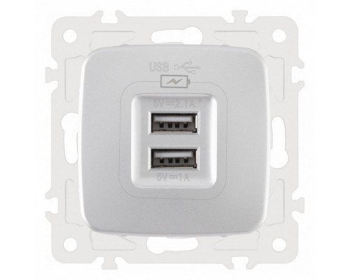 Розетка USB, без рамки Arte Milano am-205 205.46-1.silver Розетка USB, без рамки Arte Milano am-205 205.46-1.silver