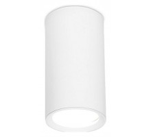 Накладной светильник Ambrella Light TN TN218