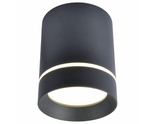 Накладной светильник Arte Lamp 1909 A1909PL-1BK Накладной светильник Arte Lamp 1909 A1909PL-1BK