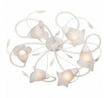 Потолочная люстра Vitaluce 3815 V3815-0/6PL