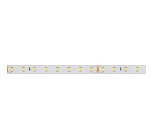 Лента светодиодная Arlight  024531(2)