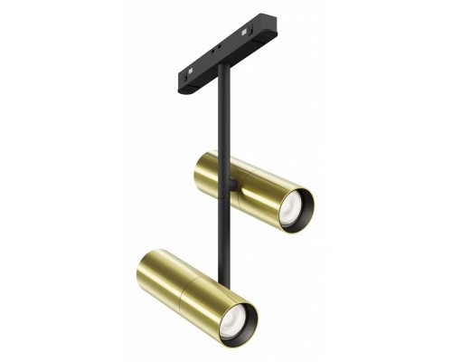 Светильник на штанге Maytoni Technical Elti Duo TR005-2-2X12W4K-BBS