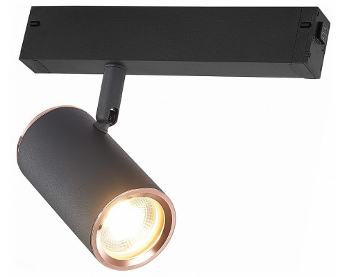 Светильник на штанге ST-Luce SKYLINE 220 Светильник на штанге ST-Luce SKYLINE 220