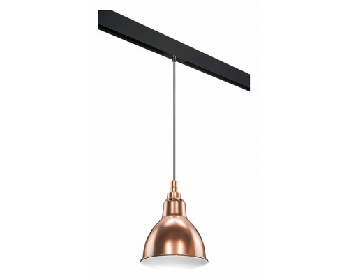 Подвесной светильник Lightstar Loft PRO765013 Подвесной светильник Lightstar Loft PRO765013