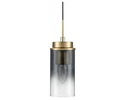 Подвесной светильник Lumion Isha 8101/1A