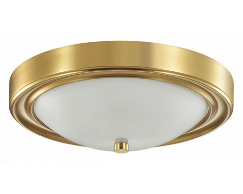 Накладной светильник Lumion Nina 5259/2C Накладной светильник Lumion Nina 5259/2C
