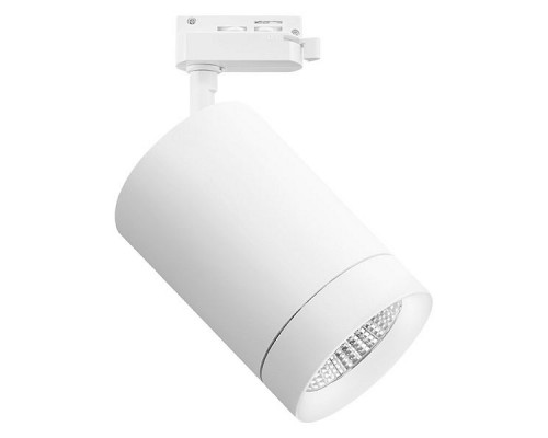 Светильник на штанге Lightstar Canno 303264 Светильник на штанге Lightstar Canno 303264