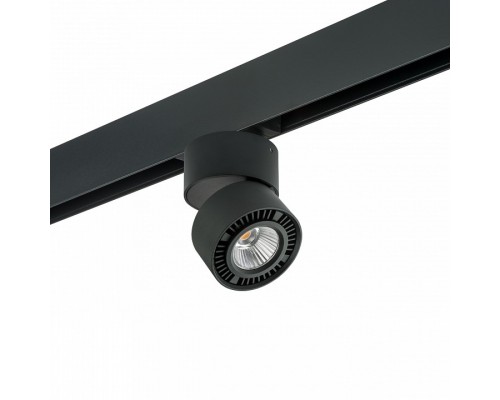 Светильник на штанге Lightstar Forte Muro PRO213817 Светильник на штанге Lightstar Forte Muro PRO213817