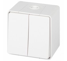 Выключатель двухклавишный Эра Эра Эксперт 11-1504-01