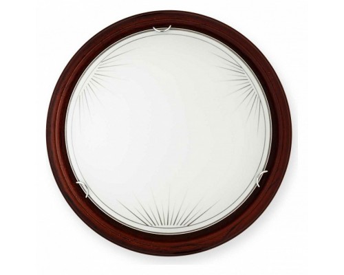 Накладной светильник TopLight Wifa TL9144Y-02PO Накладной светильник TopLight Wifa TL9144Y-02PO