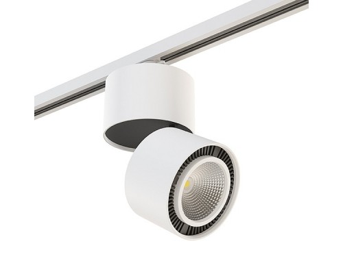 Светильник на штанге Lightstar Forte Muro A1T213850 Светильник на штанге Lightstar Forte Muro A1T213850