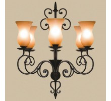 Подвесная люстра L'Arte Luce Bozen 